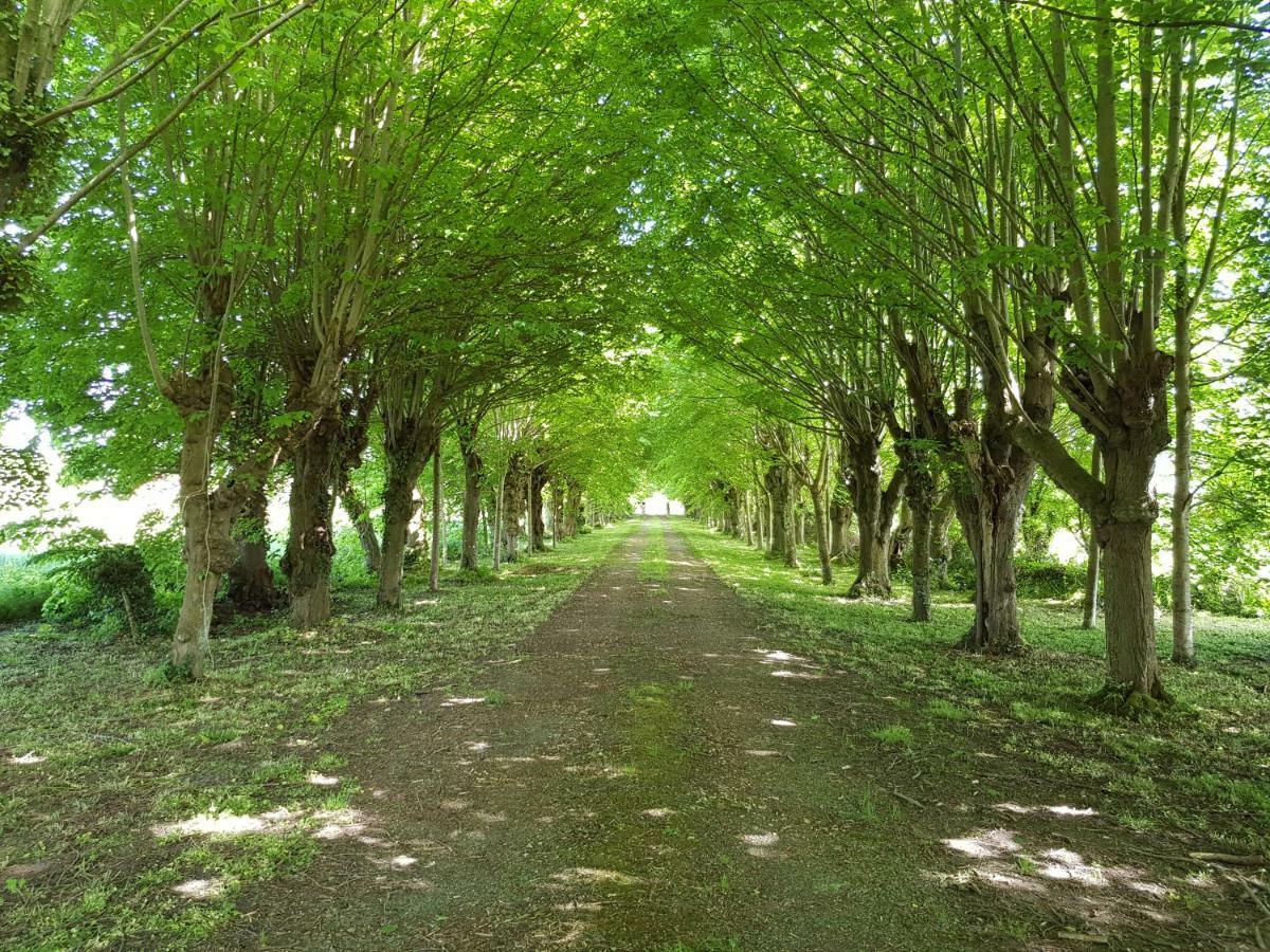 Domaine Du Manoir De Vains Hotell Exteriör bild